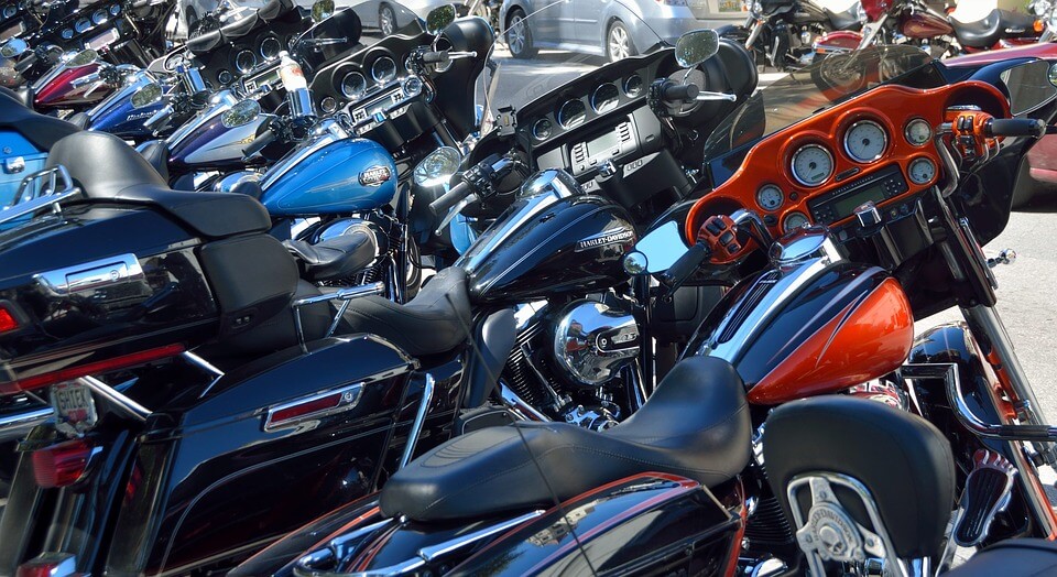 motos selvagens